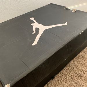 Retro Air Jordan 11 (bred)